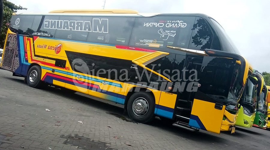 Sewa Bus VVIP Jakarta ke Bali - Mewah dan Nyaman