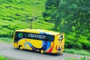 Sewa Bus Pariwisata Tangerang Selatan